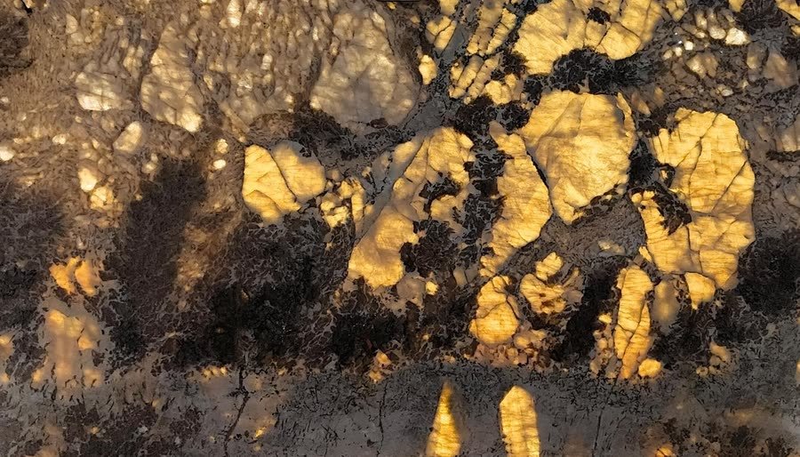 Backlit Alpinus slab photographed close: warm amber and honey-coloured areas glow through the stone while a dark charcoal and brown mineral network stays opaque against them.