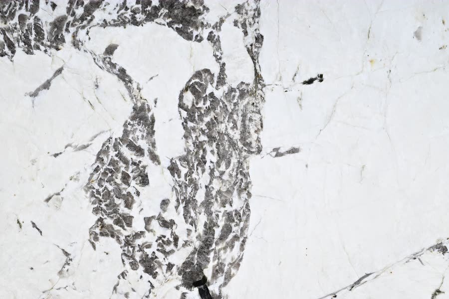 Close-up of an Alpinus stone surface: a bright white ground crossed by fine hairline veins, with a dense cluster of dark grey and charcoal mineral fragments running through the left of the frame.
