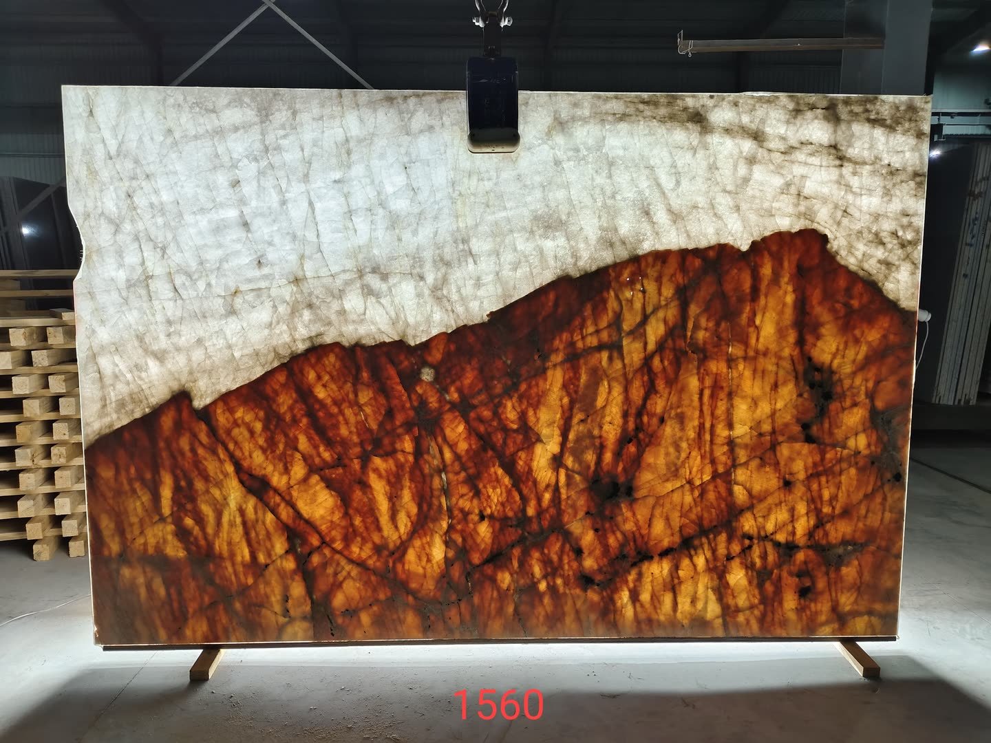 Patagonia — the slab lit from behind so the translucency and vein structure read through the stone.